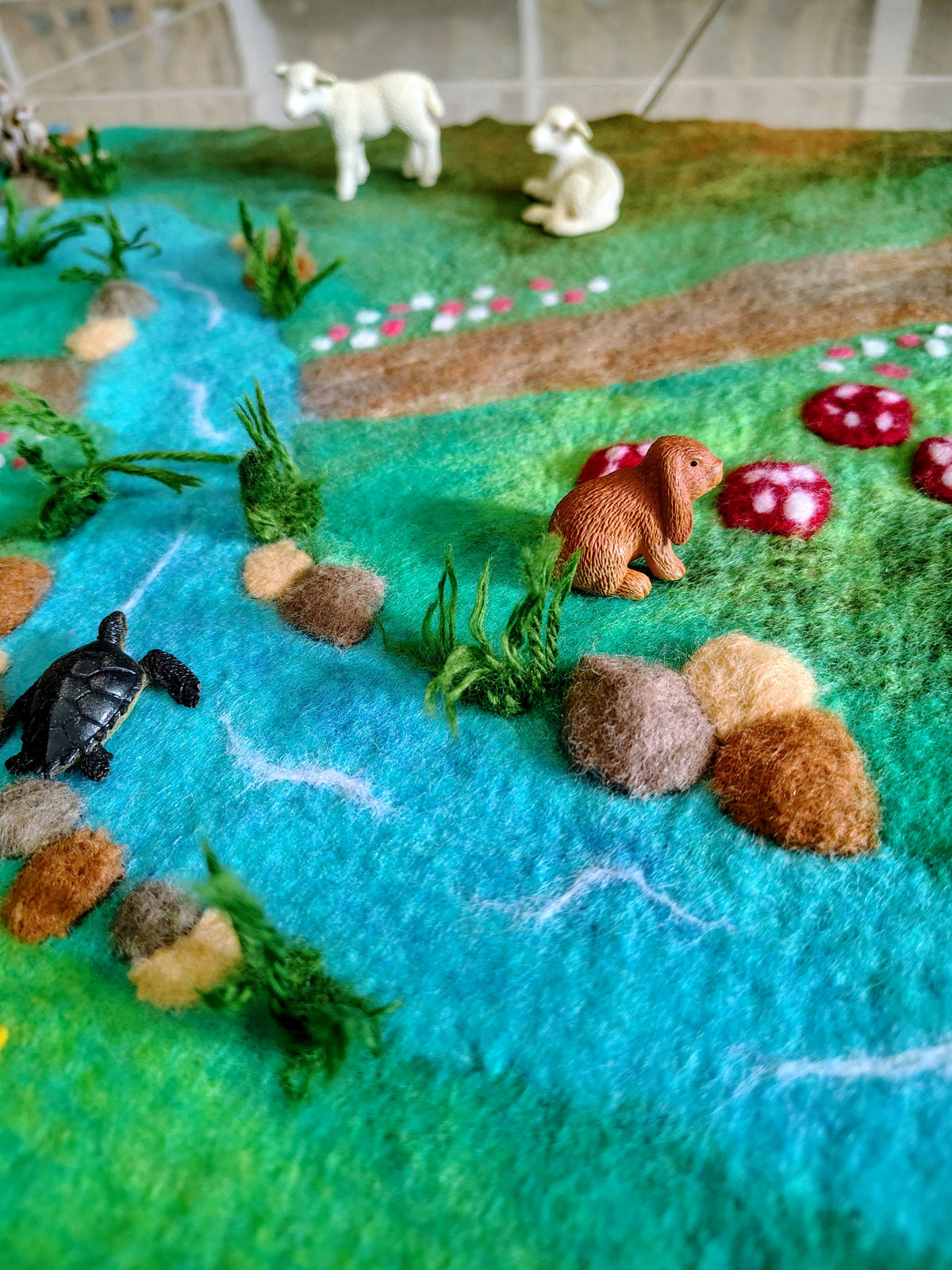 Mushroom Meadow