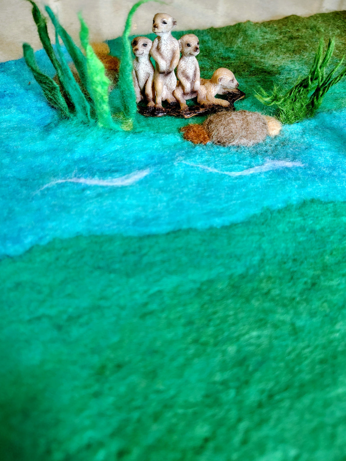 Mushroom Meadow