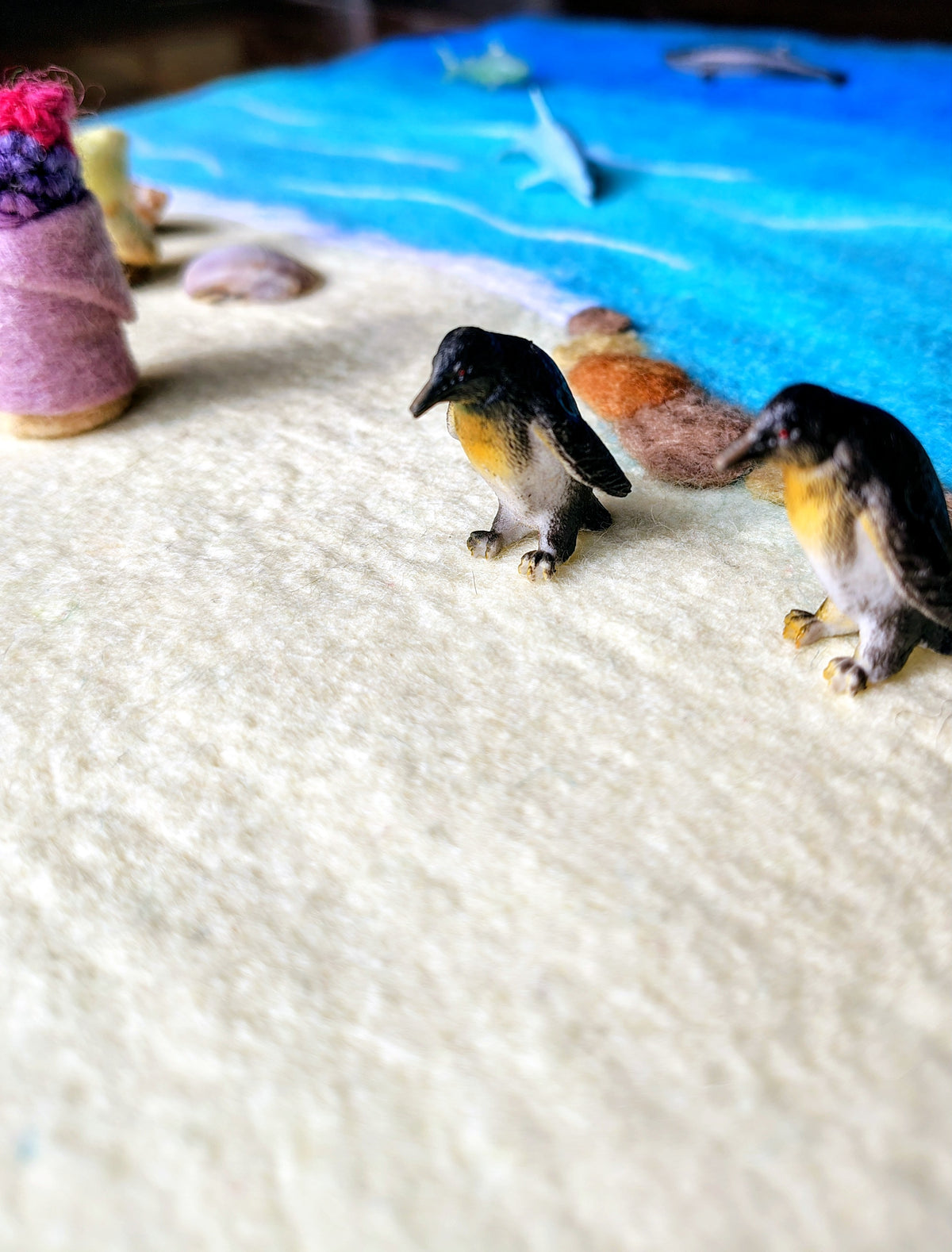 Seaside Adventures