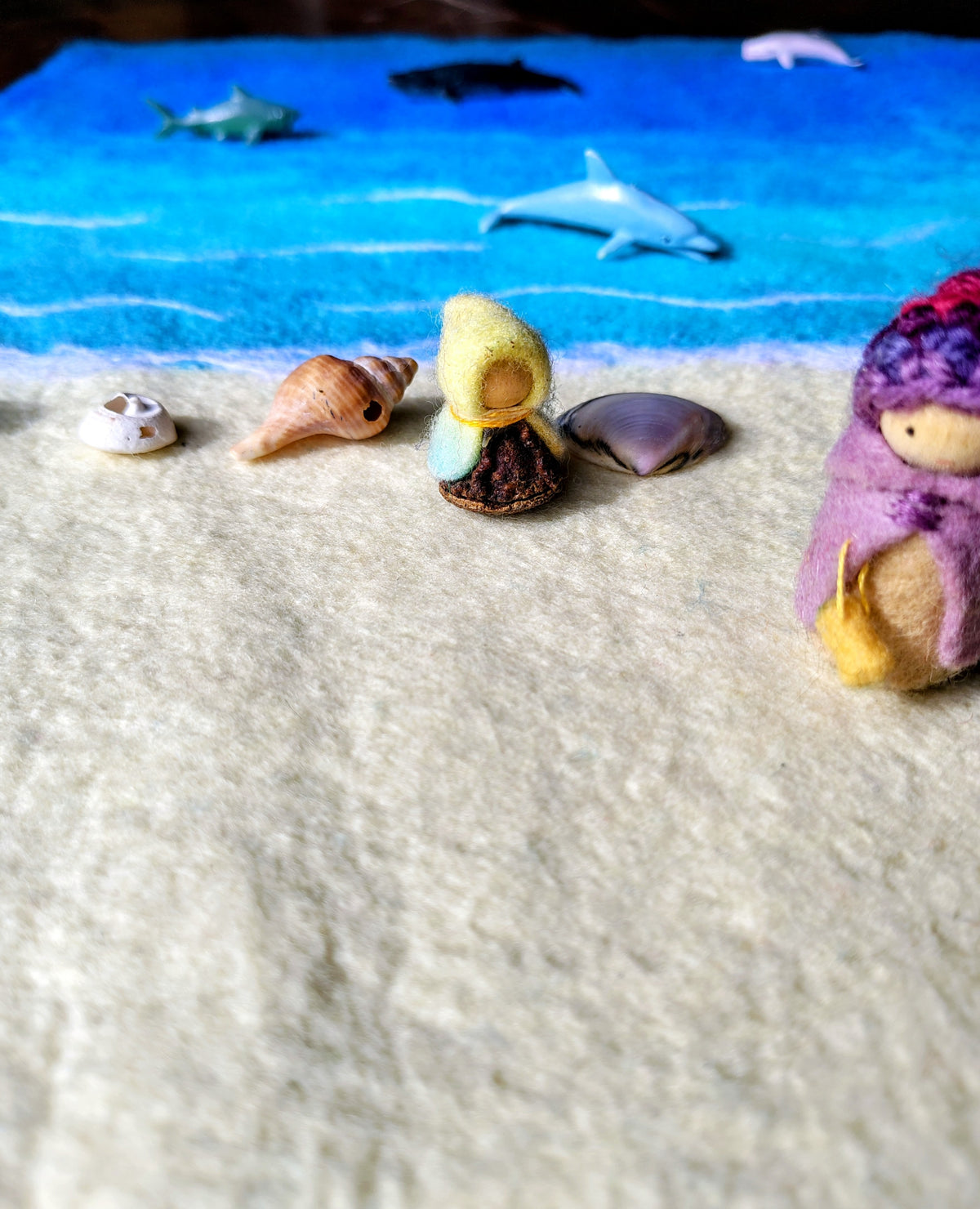 Seaside Adventures