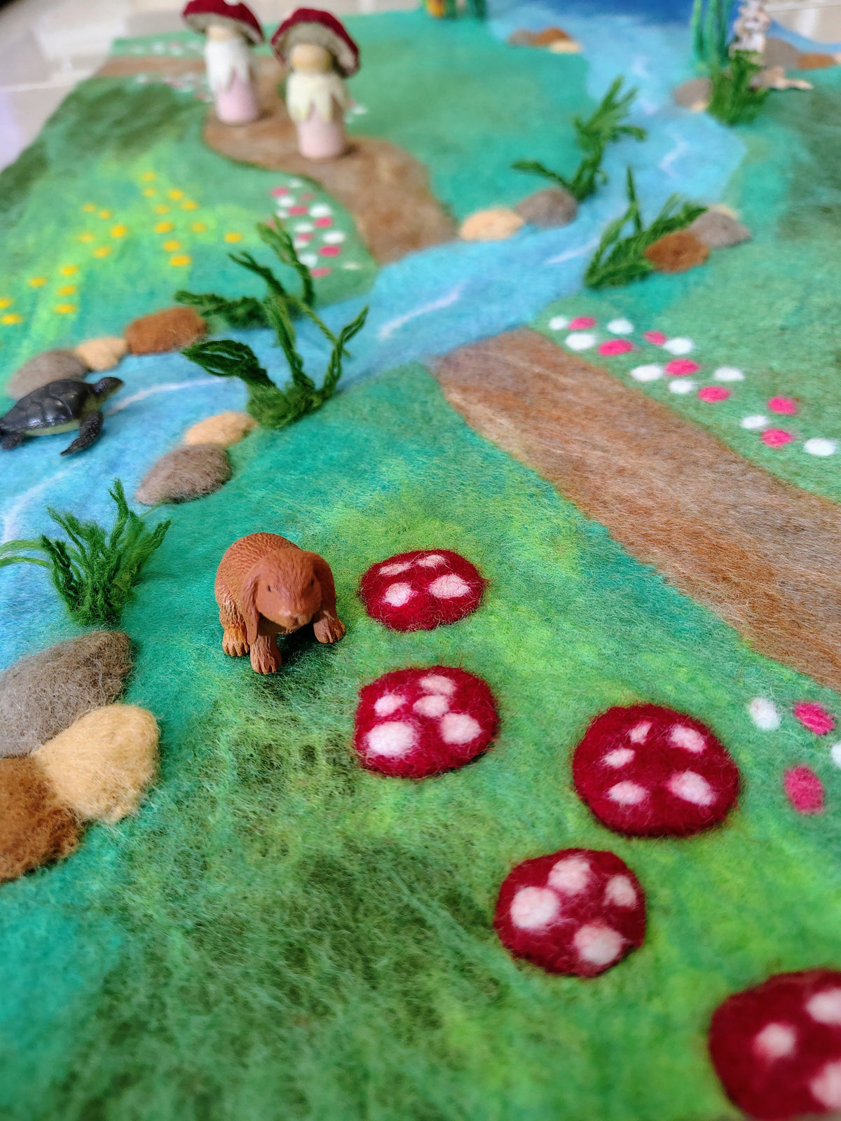 Mushroom Meadow