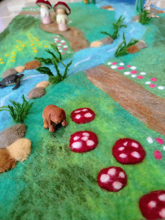 Mushroom Meadow