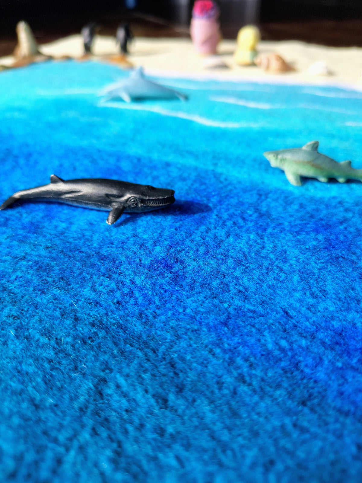 Seaside Adventures