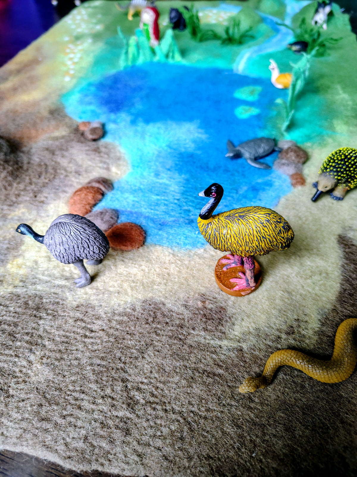 Waterhole Wonderland